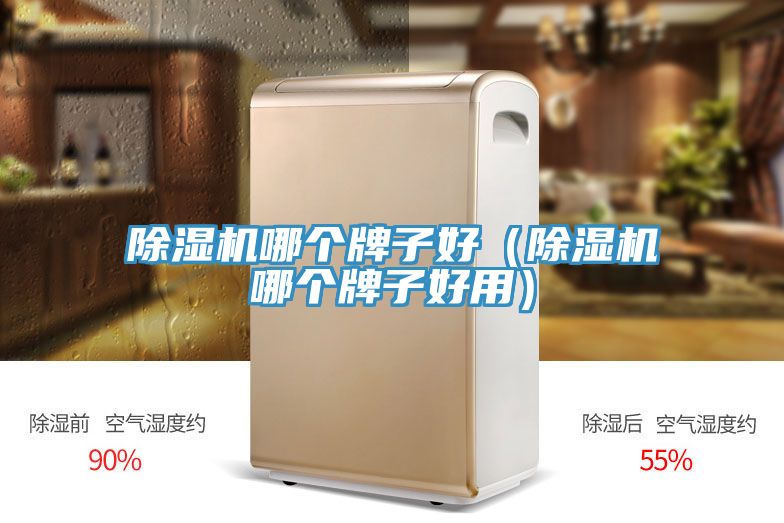 除濕機(jī)哪個(gè)牌子好(除濕機(jī)哪個(gè)牌子好用)