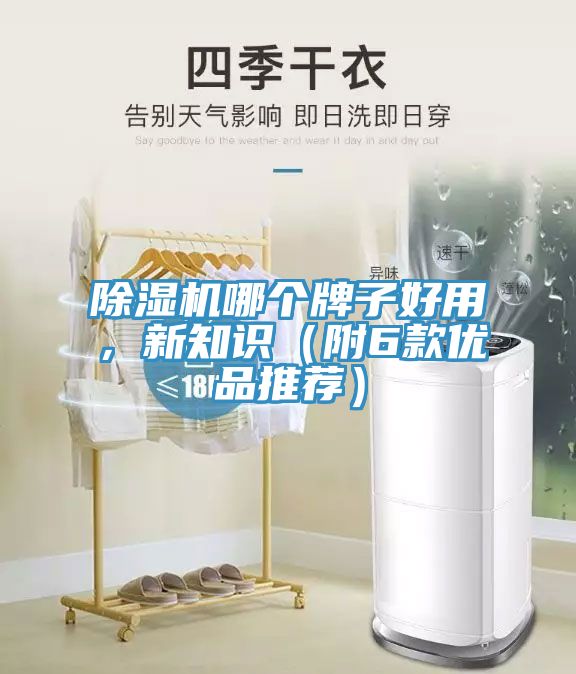 除濕機(jī)哪個(gè)牌子好用,新知識(shí)(附6款優(yōu)品推薦)