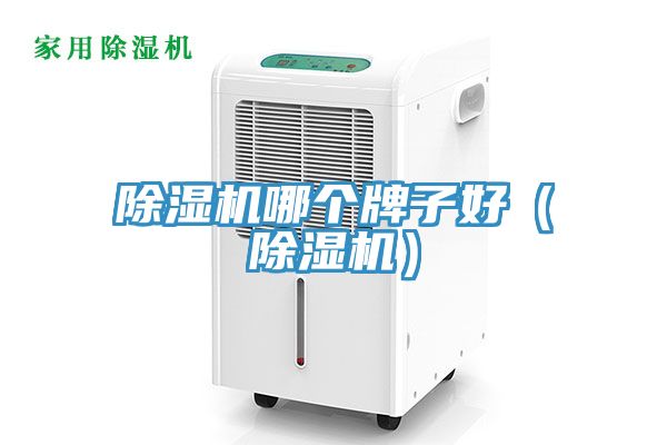 除濕機(jī)哪個(gè)牌子好(除濕機(jī))