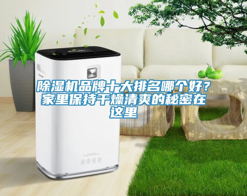 除濕機品牌十大排名哪個好？家里保持干燥清爽的秘密在這里
