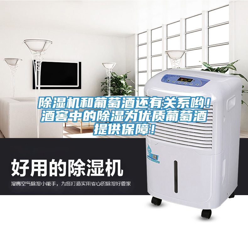 除濕機(jī)和葡萄酒還有關(guān)系喲!酒窖中的除濕為優(yōu)質(zhì)葡萄酒提供保障!