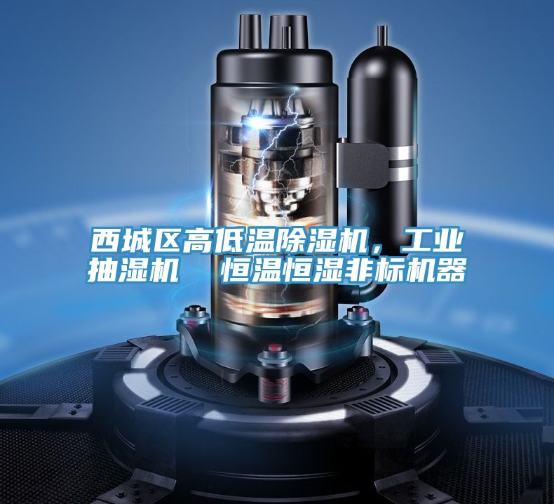西城區(qū)高低溫除濕機(jī),工業(yè)抽濕機(jī) 恒溫恒濕非標(biāo)機(jī)器