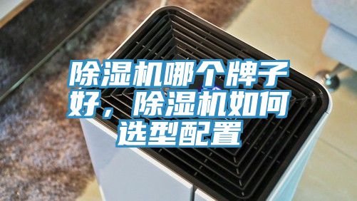 除濕機哪個牌子好，除濕機如何選型配置