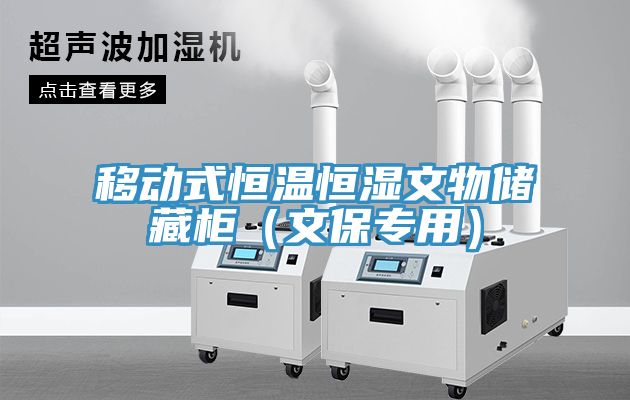 移動(dòng)式恒溫恒濕文物儲(chǔ)藏柜(文保專用)