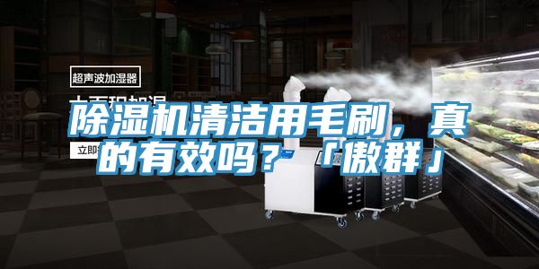 除濕機清潔用毛刷，真的有效嗎？「傲群」