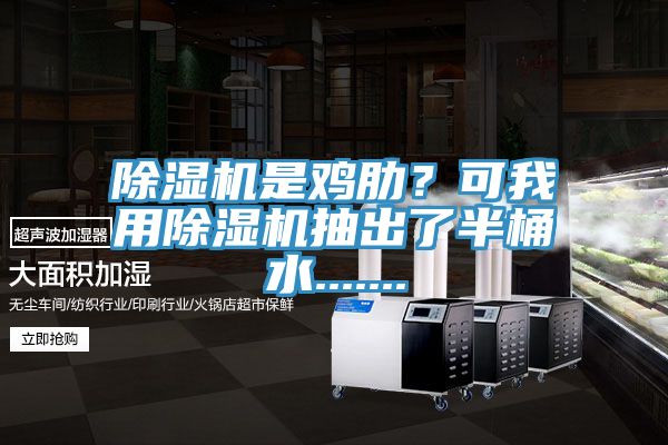 除濕機是雞肋？可我用除濕機抽出了半桶水.......