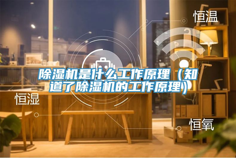 除濕機(jī)是什么工作原理(知道了除濕機(jī)的工作原理)