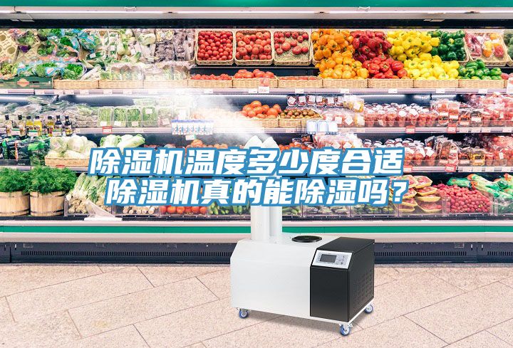 除濕機溫度多少度合適 除濕機真的能除濕嗎？
