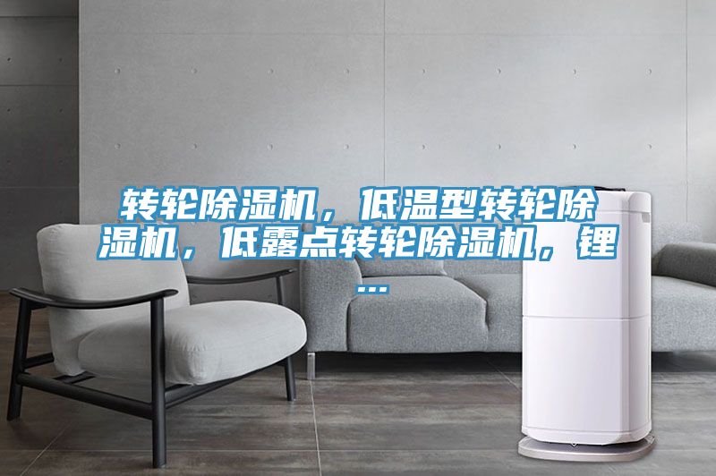轉輪除濕機，低溫型轉輪除濕機，低露點轉輪除濕機，鋰 ...